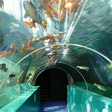 Jaw-dropping With Hot Tub On *